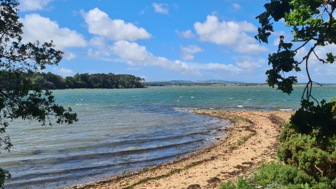 A view across the beach at Brownsea Island campsite, with a sweeping beach and trees in the foreground and sea, islands and blue sky in the background.